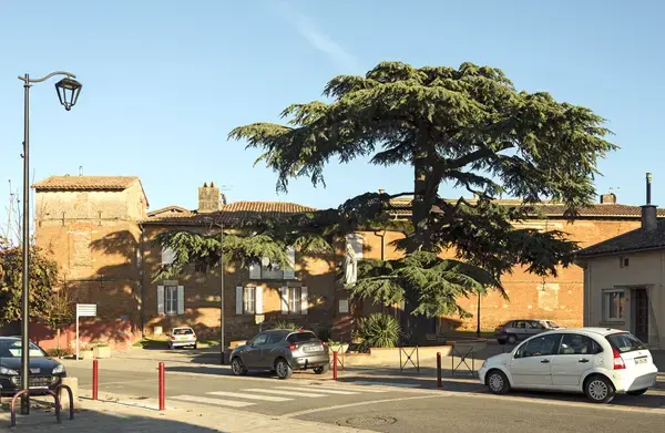 Monte Escalier Guide Monte escalier Aussonne