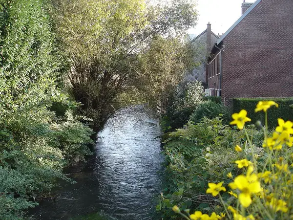 Monte Escalier Guide Monte escalier Déville-lès-Rouen