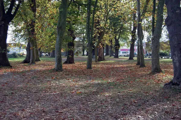 Monte Escalier Guide Monte escalier Idron