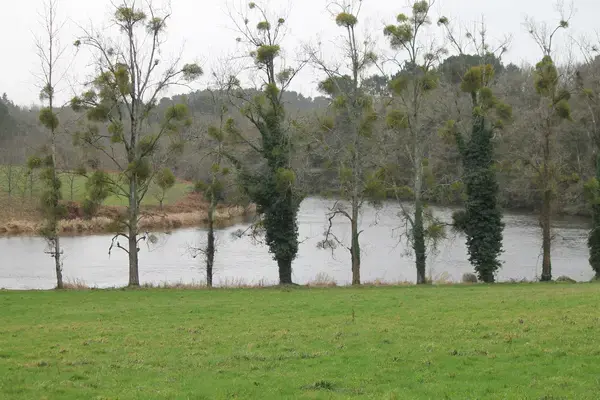 Monte Escalier Guide Monte escalier Muzillac