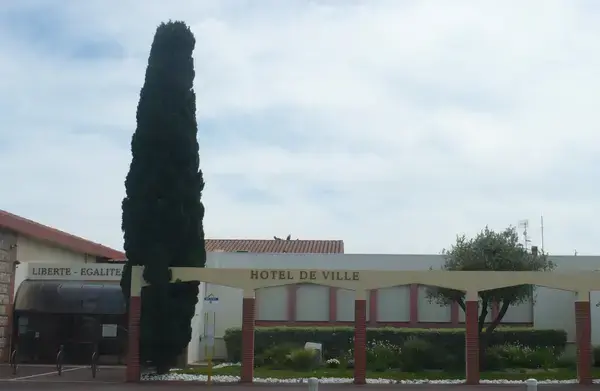 Monte Escalier Guide Monte escalier Saleilles